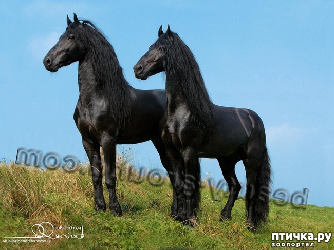 ���� 7: ���������� ����� ��������