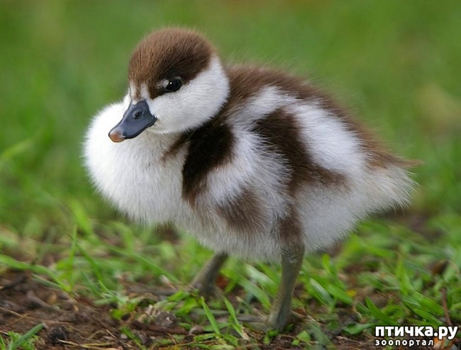 ���� 17: ���������� ����� ��������