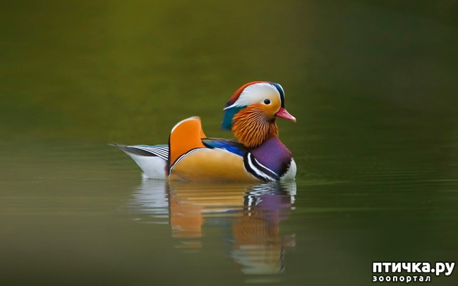 ���� 10: ���������� ����� ��������