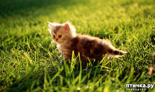 ���� 18: ���������� ����� ��������