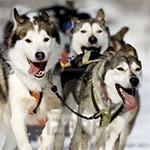 ���� 24: ���������� ����� ��������