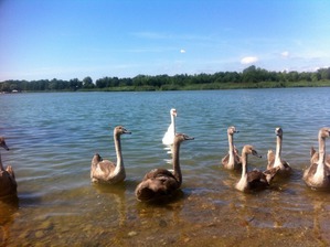 ����: ������ �� ������� �����.