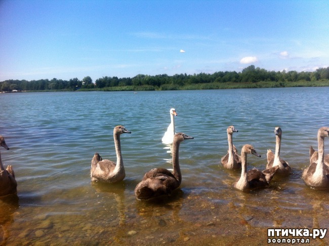 ���� 1: ������ �� ������� �����.