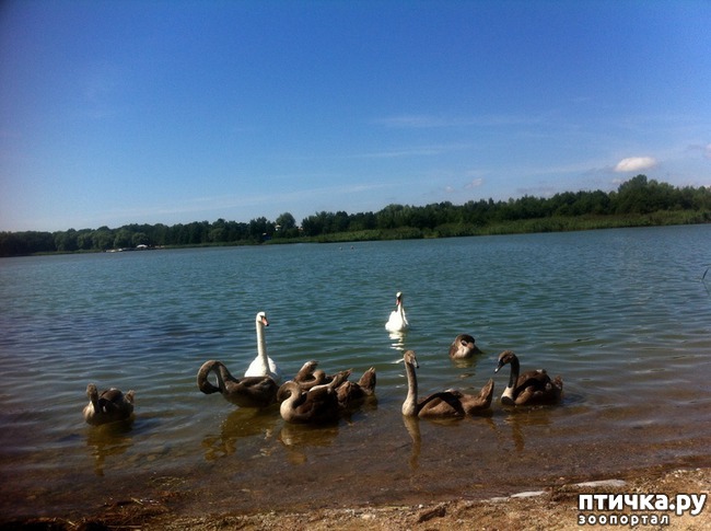 ���� 2: ������ �� ������� �����.