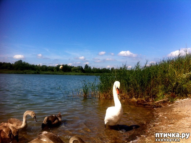 ���� 3: ������ �� ������� �����.