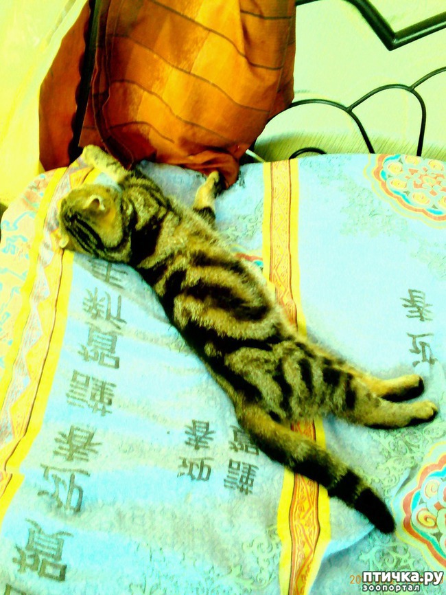 ���� 1: ��� ���� ��������-2.