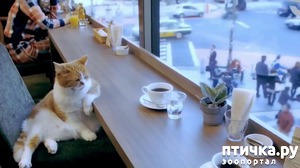 ����: ��� ����� �������)))