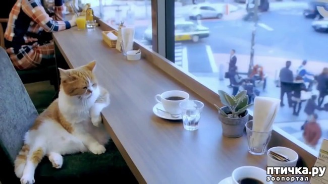 ���� 1: ��� ����� �������)))