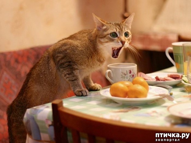 ���� 2: ��� ����� �������)))