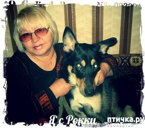 ����: ��� ����� ������ � ����?