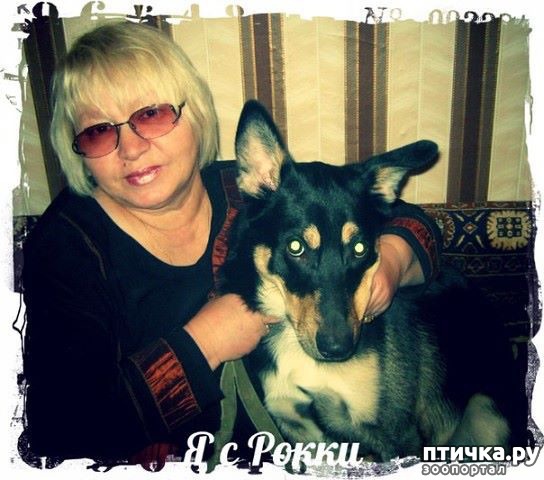 ���� 1: ��� ����� ������ � ����?