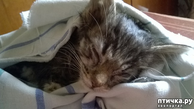 ���� 1: ��� �������� �������������!!!