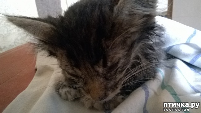 ���� 3: ��� �������� �������������!!!