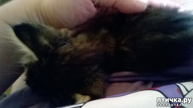 ���� 2: ��� �������� �������������!!!