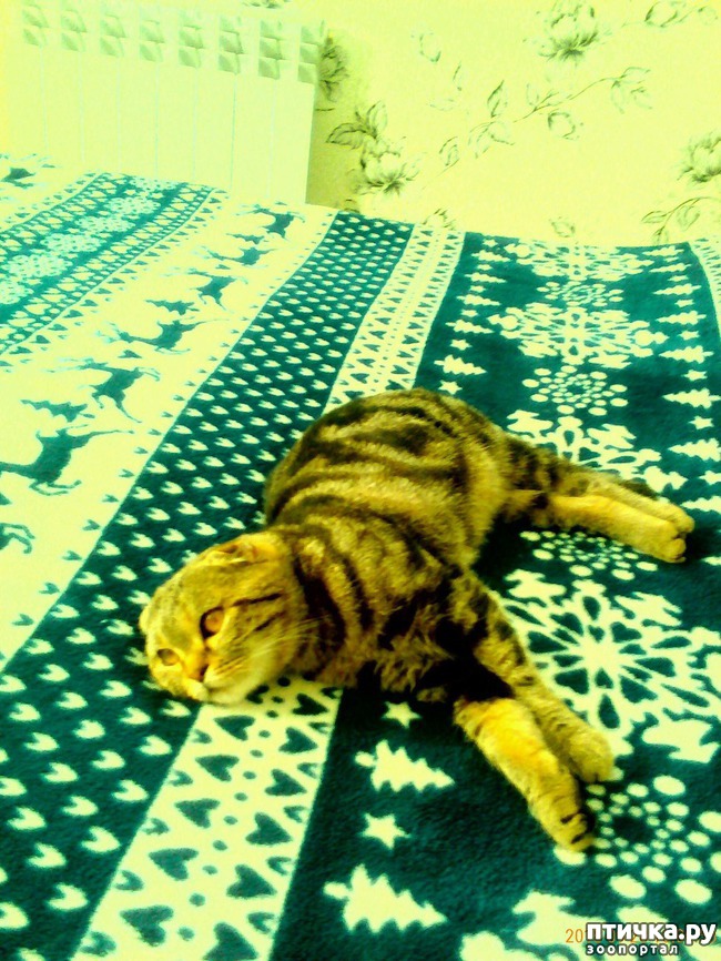 ���� 2: ��� ���� ��������-2.