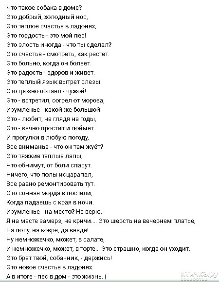 ���� 2: ��� ����� ������ � ����?