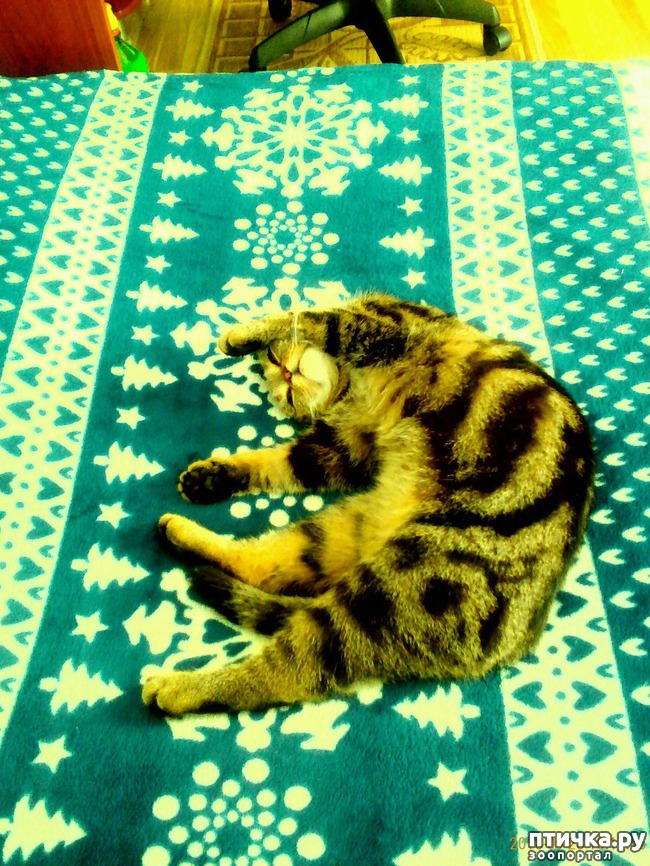 ���� 3: ��� ���� ��������-2.