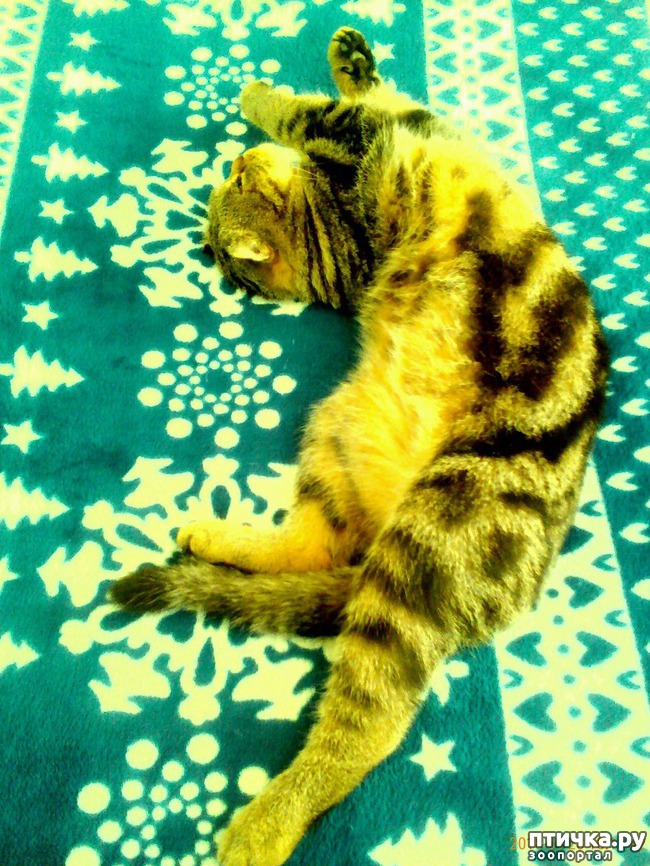 ���� 4: ��� ���� ��������-2.