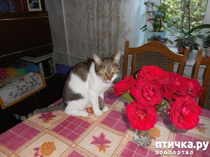 ����: � ���� ��������