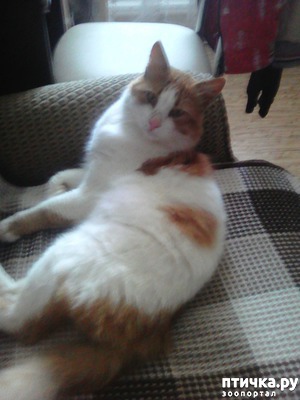 ����: ��� ����� ����