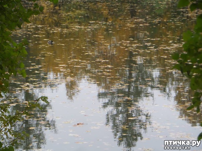 ���� 5: �� ��������� ���������� ����������.)))