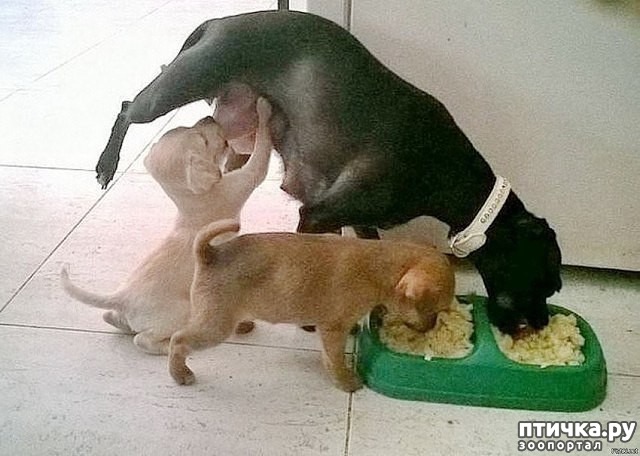 ���� 1: �����-����!