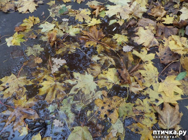 ���� 6: �� ��������� ���������� ����������.)))