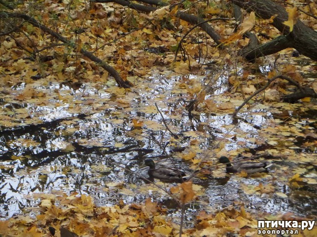 ���� 7: �� ��������� ���������� ����������.)))