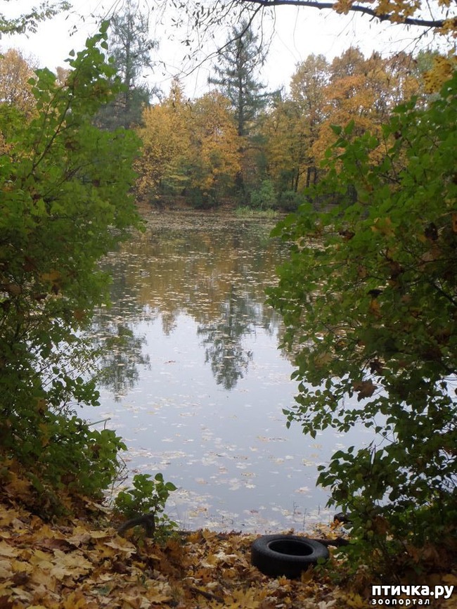 ���� 8: �� ��������� ���������� ����������.)))