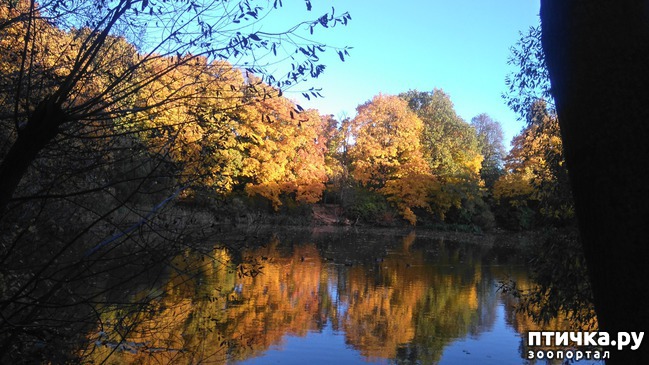 ���� 3: �� ��������� ���������� ����������.)))