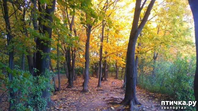 ���� 2: �� ��������� ���������� ����������.)))