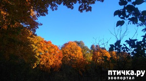 ����: �� ��������� ���������� ����������.)))