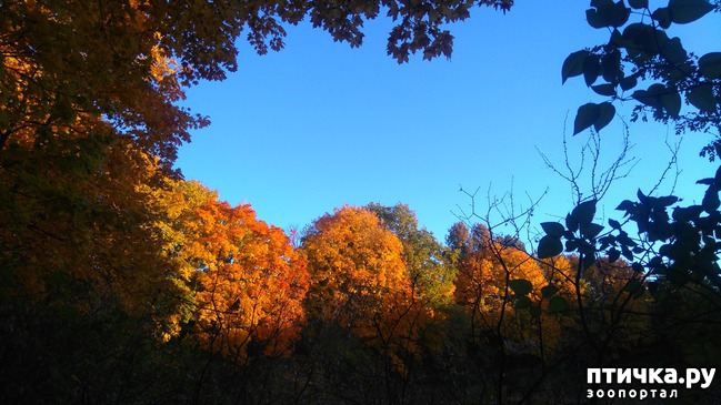 ���� 1: �� ��������� ���������� ����������.)))