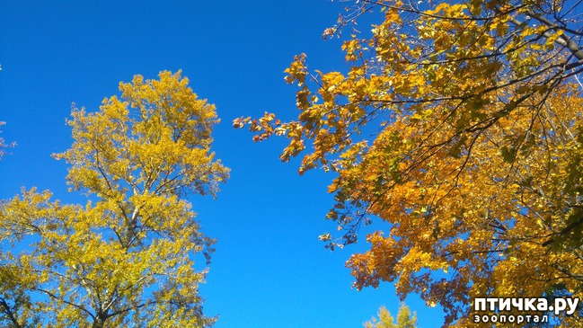 ���� 4: �� ��������� ���������� ����������.)))