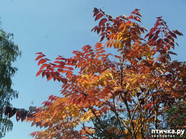 ���� 9: �� ��������� ���������� ����������.)))