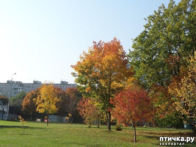 ���� 10: �� ��������� ���������� ����������.)))