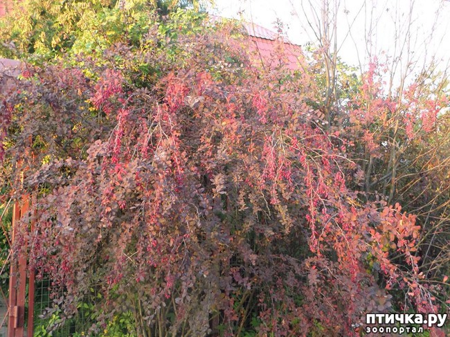 ���� 12: �� ��������� ���������� ����������.)))