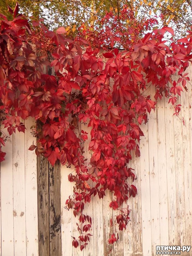 ���� 13: �� ��������� ���������� ����������.)))