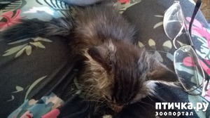 ����: ������� � ���� ���������.