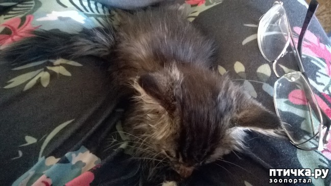 ���� 1: ������� � ���� ���������.