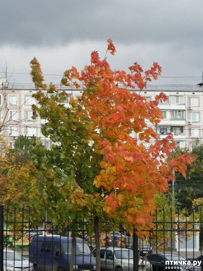 ���� 14: �� ��������� ���������� ����������.)))