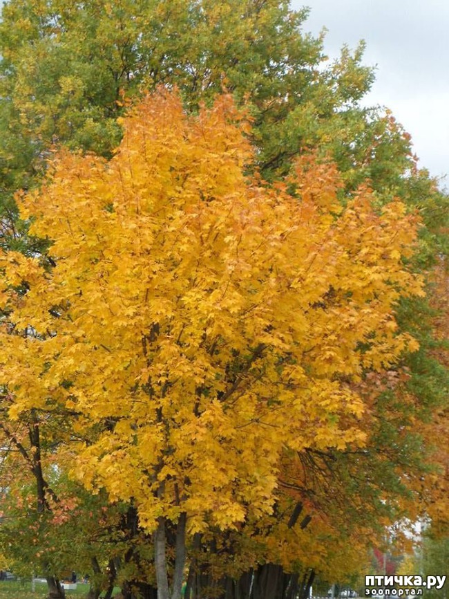 ���� 15: �� ��������� ���������� ����������.)))