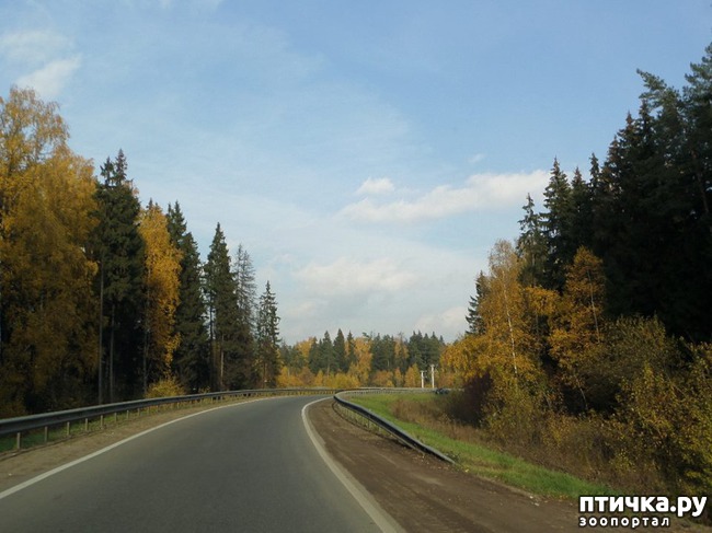 ���� 16: �� ��������� ���������� ����������.)))