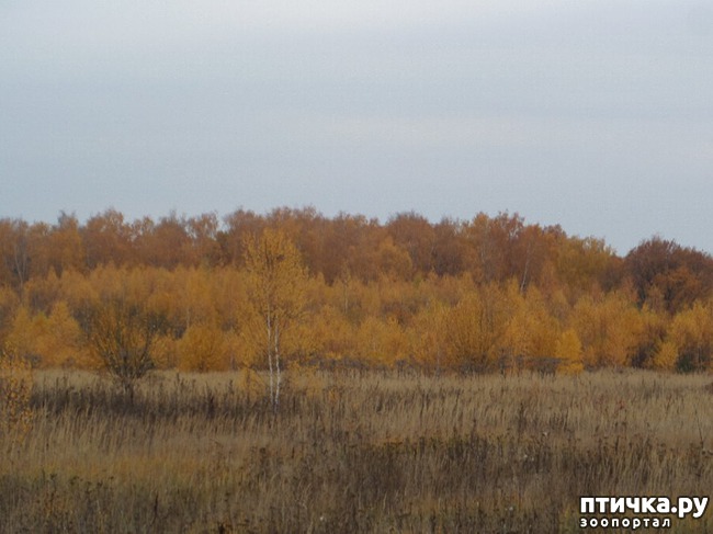 ���� 18: �� ��������� ���������� ����������.)))