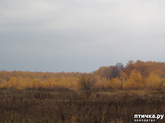 ���� 19: �� ��������� ���������� ����������.)))