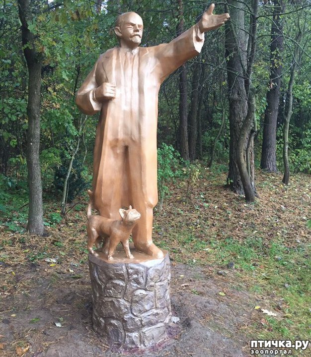 ���� 1: � � ��� � ������ ������ ��������)))