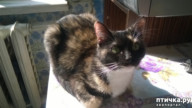 ���� 2: ������� � ���� ���������.