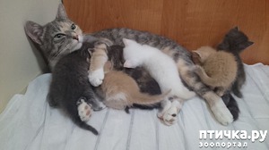 ����: ����� ������ �������� ����� �� ��������� �����.