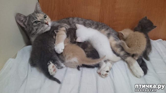 ���� 1: ����� ������ �������� ����� �� ��������� �����.