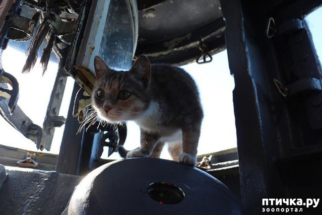 ���� 2: ����� ������ �������� ����� �� ��������� �����.